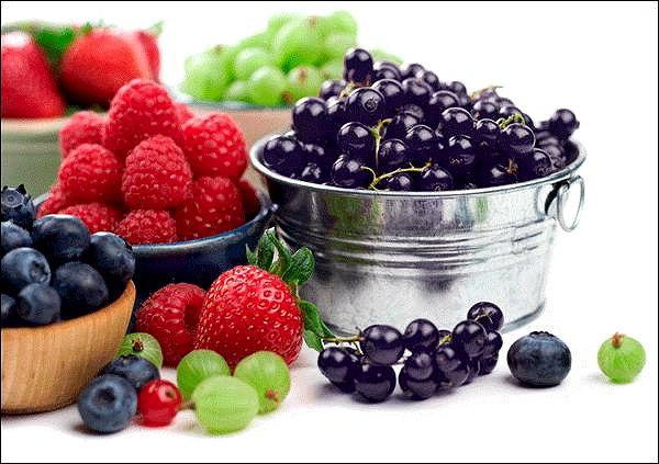 ешь и худей продукты для похудения ешь и худей продукты для похудения