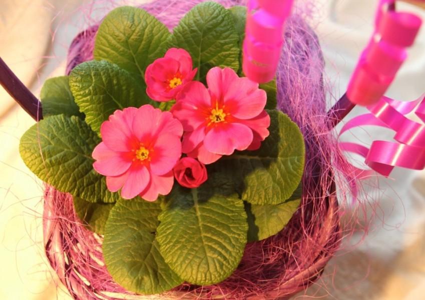 Чего подарить на 8 марта дочке Чего подарить на 8 марта дочке