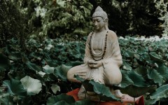 От бактерии до Будды: уровни сознания по Дэвиду Хокинсу, которые вдохновят вас на личностный рост
