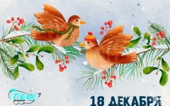 Зимний слет проекта «Птица рода»: как через игру вернуть силу Рода и укрепить семью