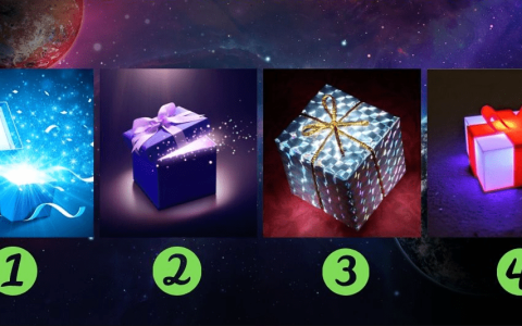 Викторина: Какой бесценный подарок Вселенная посылает вам прямо сейчас? Выберите один из четырех подарков!