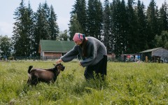 Личный рай: 5 причин предпочесть деревенский отдых городскому