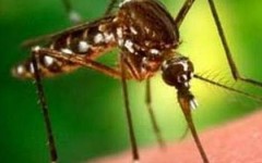 Первая помощь ребенку при укусах насекомых – что делать, если ребенка покусали комары, мошки, осы или пчелы?