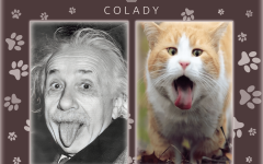 Мяю-Мур: 7 знаменитостей, которые как две капли воды похожи на кошек