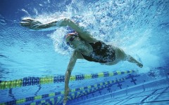 Спортивные купальники и плавки для бассейна – основные требования и советы по выбору