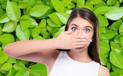 Вся правда о запахе изо рта – почему он возникает и чем опасен