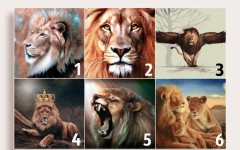 Психологический тест: Выбранный лев расскажет о том, какой партнёр вам нужен