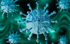 Коронавирус – эпидемия паники, или к чему может привести ваш страх
