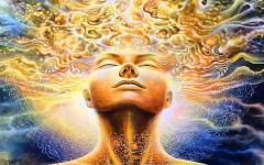 «Как научить мозг учиться»: Татьяна Черниговская рассказала об особенностях работы мозга и сознания человека