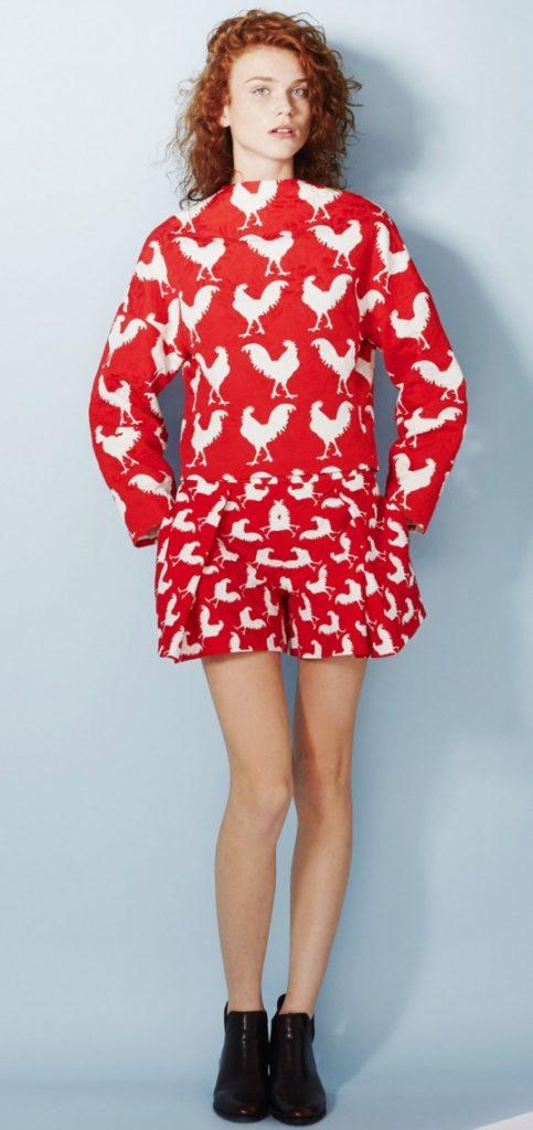 Clothes for the New 2017 of the Rooster