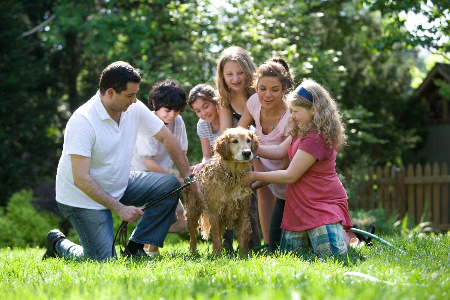 happy family