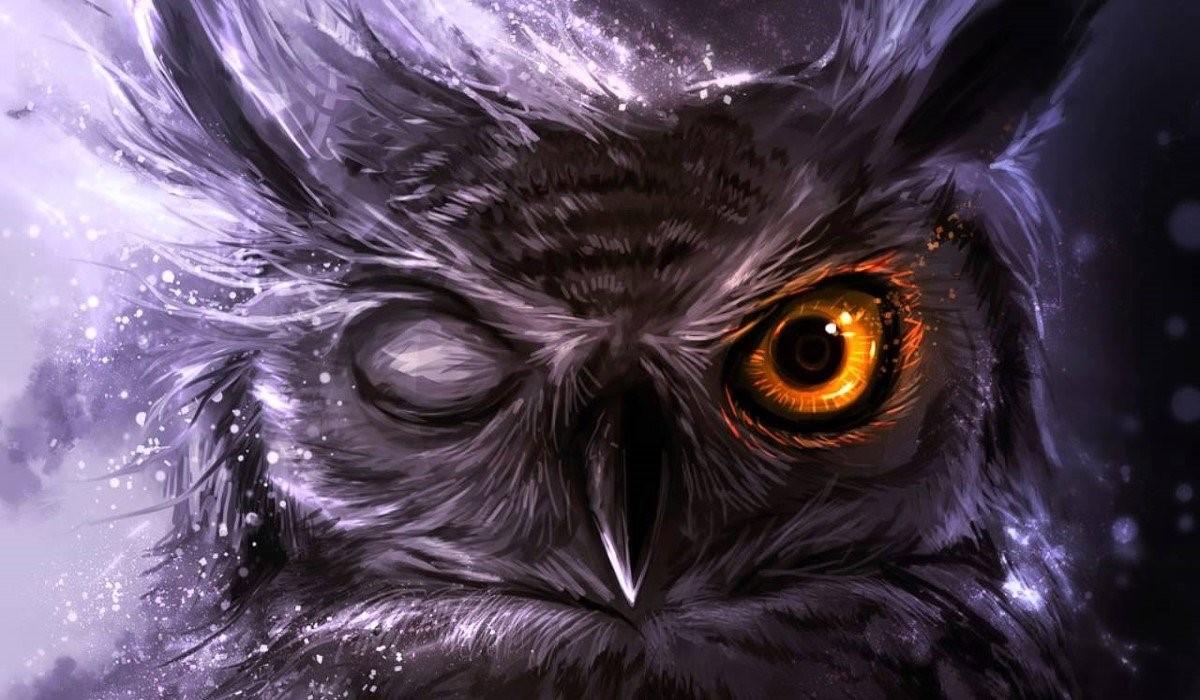 owl