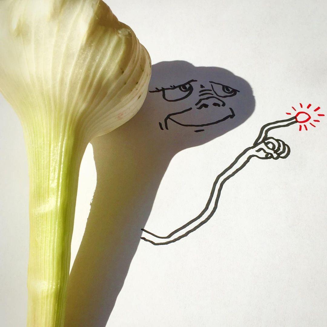 Creative drawings by the artist, created using shadows from ordinary objects and a few strokes